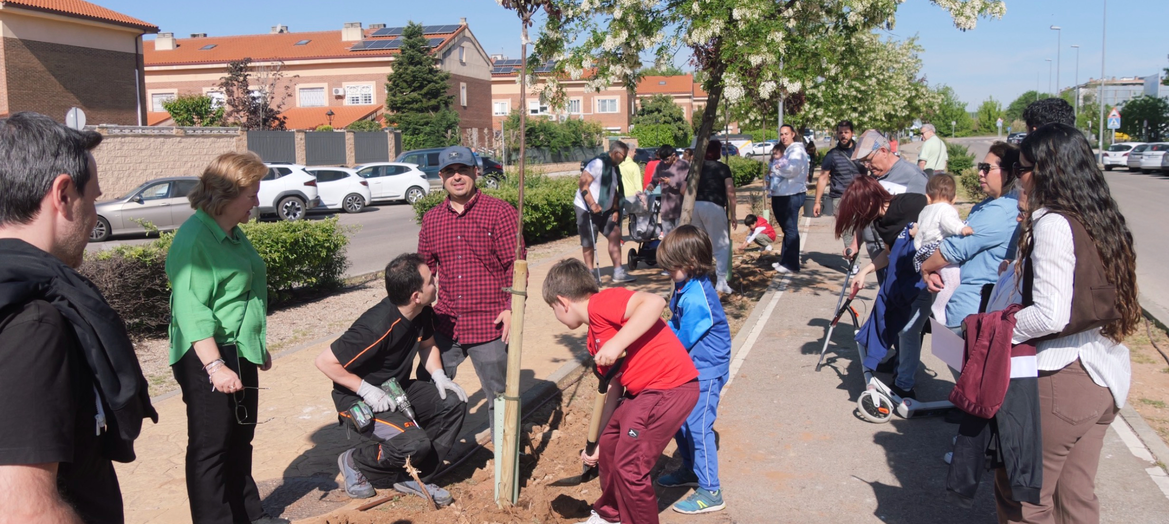 Alovera vuelve a unir los nacimientos con la plantación masiva de árboles en el municipio.